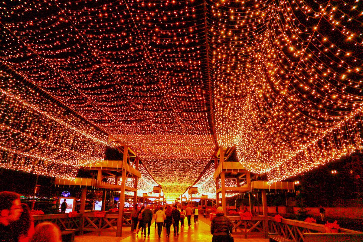 МСК 2025 «Казань каждый день!»  4 дня