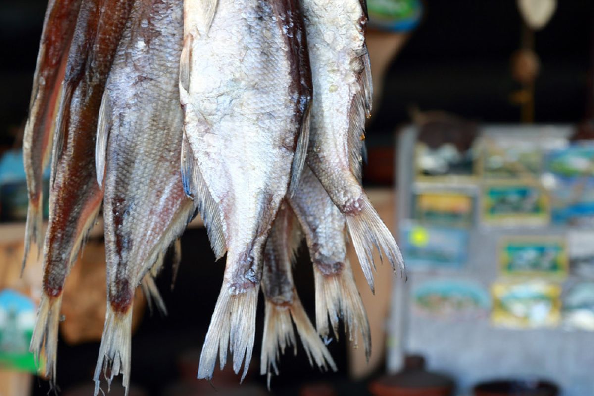 МСК 2025 «Казань каждый день!»  4 дня