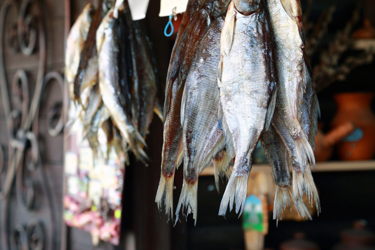 МСК 2025 «Казань каждый день!»  4 дня