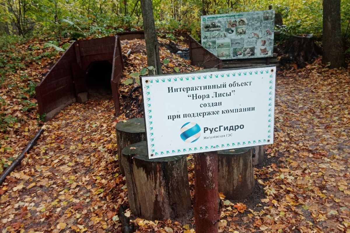 Жигулевск - город в горах! С посещением "Дом - музей лисы!"