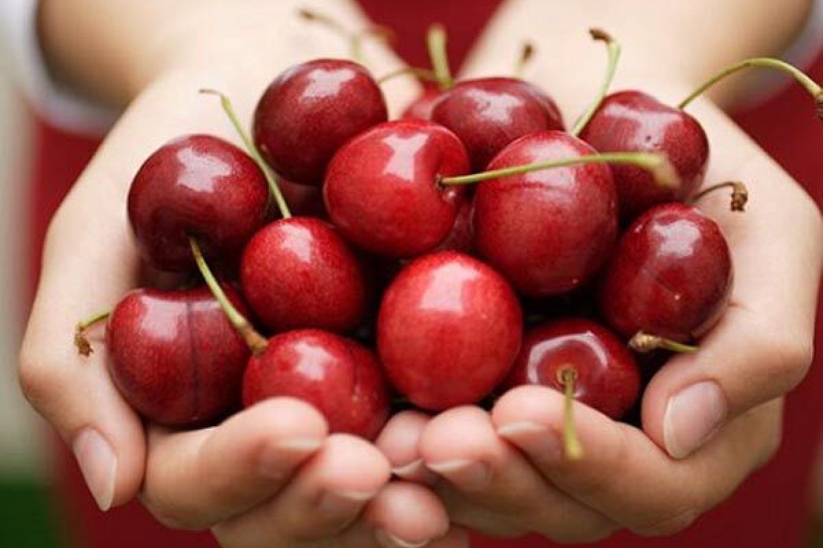 Загадки Сызрани и  Самарской луки