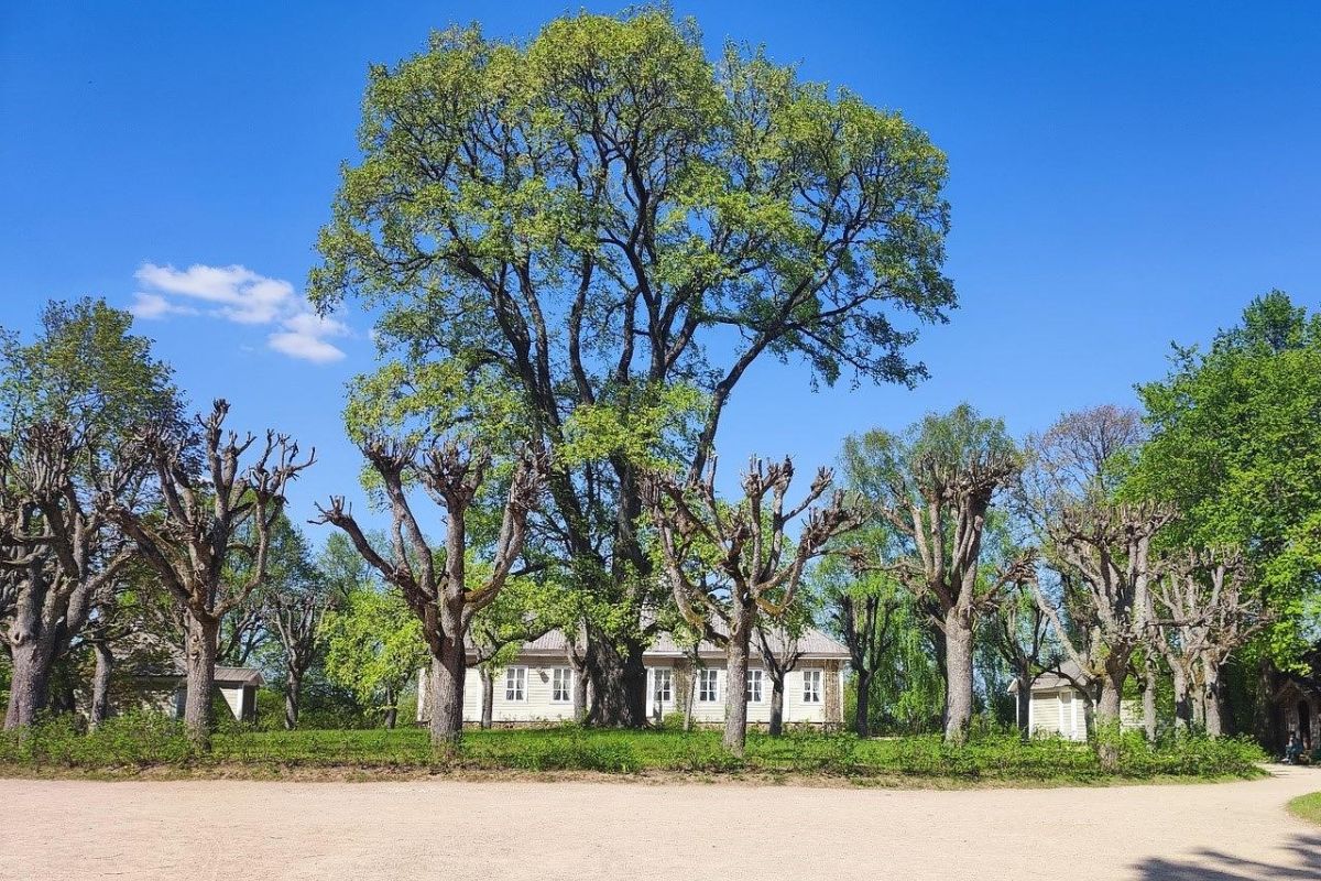 ПСКОВ 5 дней с отдыхом в Изборске