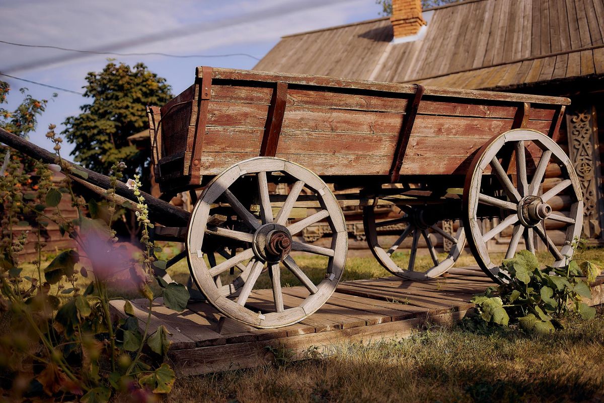 Жигулёвские выходные 2026 год, 3 дня НАЦИОНАЛЬНЫЙ ТУРИСТСКИЙ МАРШРУТ