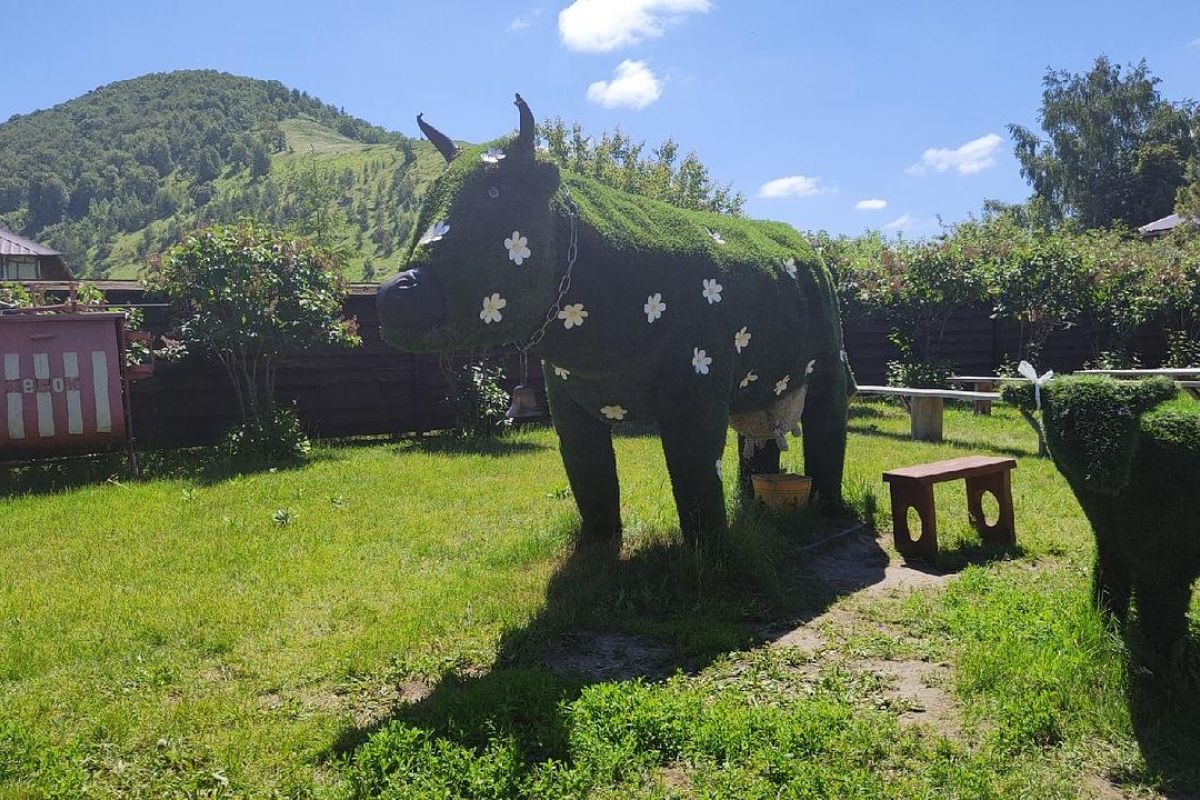 Самарская Лука, селфи с бурлаками.
