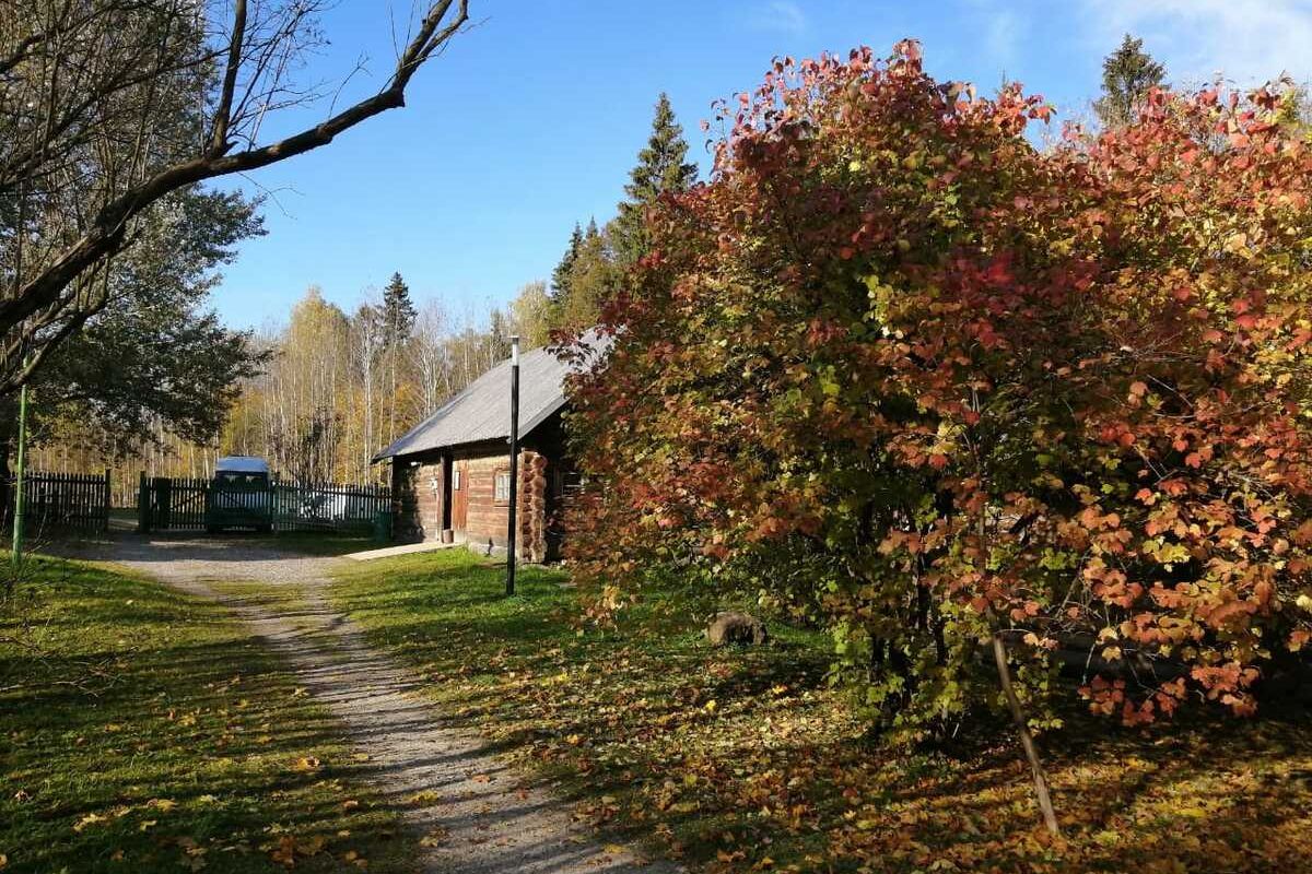 «Страна гениев»: Усадьба Шахматово-Тараканово